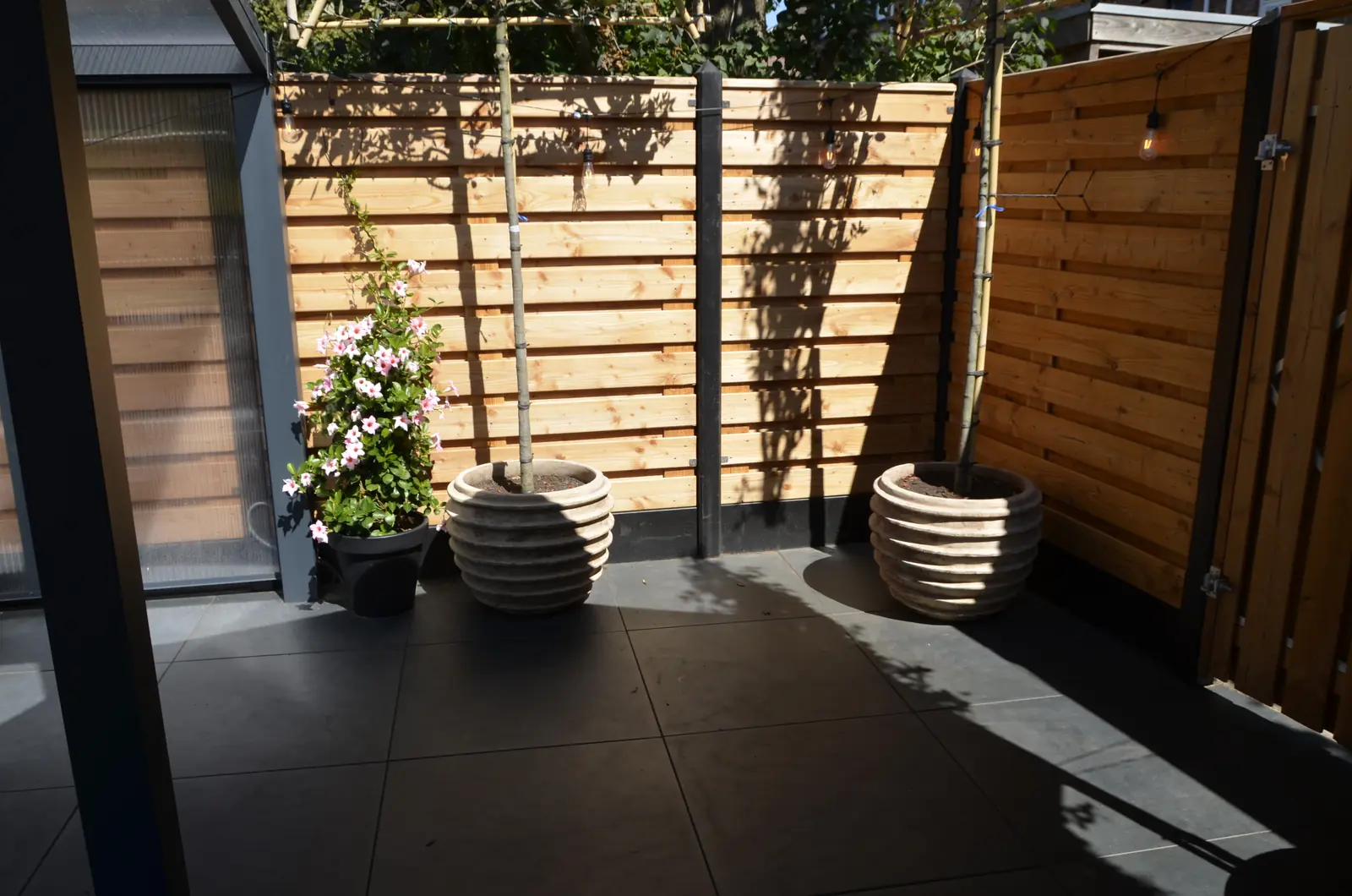 Doorkijk door de beplanting naar het terras — Rotterdam