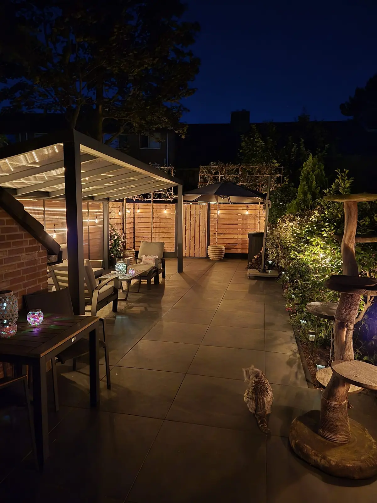 De veranda bij avondlicht met de hond op het terras — Rotterdam